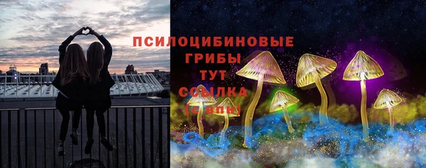 гидра Баксан