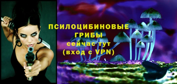 гидра Баксан