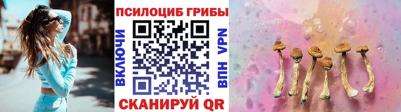 Галлюциногенные грибы Magic Shrooms  Белозерск 